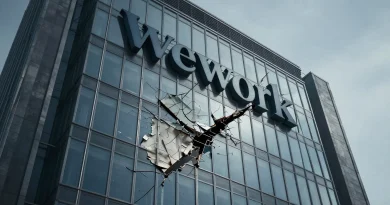 Fall of WeWork