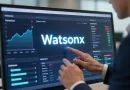 IBM Watsonx platform